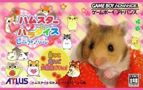 Hamster Paradise - Pure Heart cover art for Nintendo Game Boy Advance