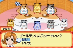 Hamster Paradise - Pure Heart screenshot