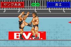 Shin Nihon Pro Wrestling - Toukon Retsuden Advance screenshot