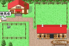 Derby Stallion Advance screenshot