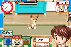 Kawaii Pet Game Gallery screenshot