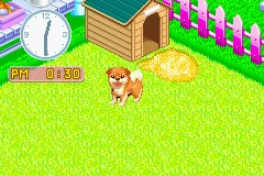 Nakayoshi Pet Advance Series 2 - Kawaii Koinu screenshot
