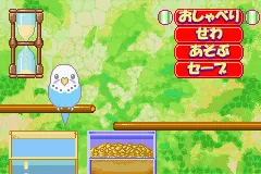 Oshaberi Inko Club screenshot