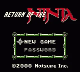 Return of the Ninja screenshot