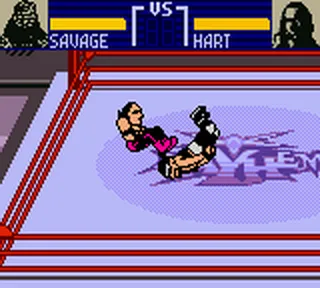 Backdrop artwork for WCW Mayhem