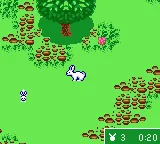 Shelly Club screenshot