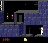 Prince of Persia (USA, Europe) (En,Fr,De,Es,It) (GB Compatible) screenshot