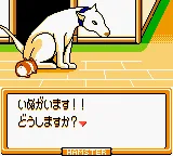 Hamster Paradise 3 screenshot