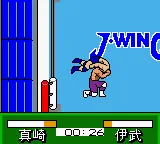 Pocket Pro Wrestling - Perfect Wrestler screenshot