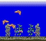 Aqualife (Japan) (SGB Enhanced) (GB Compatible) screenshot