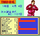 K.O. - The Pro Boxing screenshot