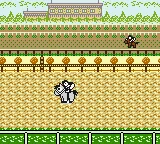 Pocket GI Stable (Japan) (SGB Enhanced) (GB Compatible) screenshot