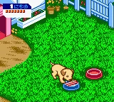 Nakayoshi Pet Series 3 - Kawaii Koinu screenshot
