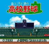 Chi to Ase to Namida no Koukou Yakyuu title screen