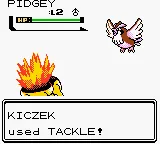 Pokemon - Gold Version (USA, Europe) (SGB Enhanced) (GB Compatible) screenshot
