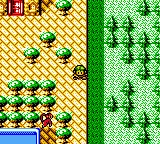 Revelations - The Demon Slayer (USA) (SGB Enhanced) (GB Compatible) screenshot