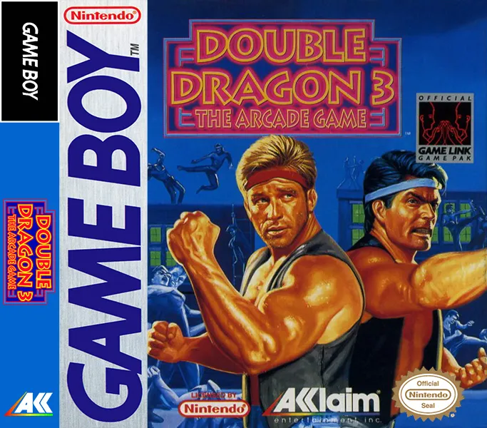 Double Dragon 3: The Arcade Game box art