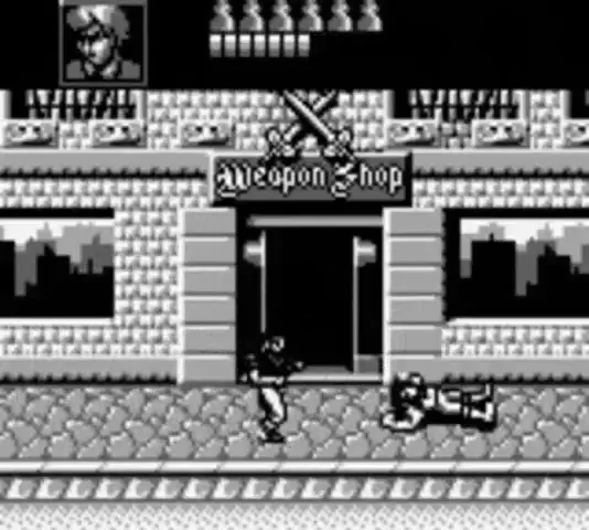 Backdrop artwork for Double Dragon 3: The Arcade Game