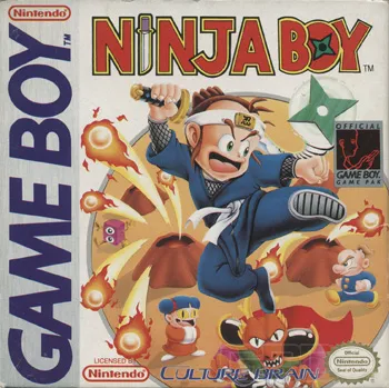 Ninja Boy box art