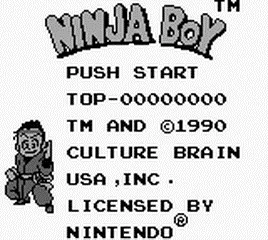 Ninja Boy screenshot