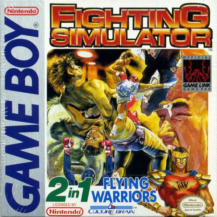 Fighting Simulator: 2-in-1 Flying Warriors box art