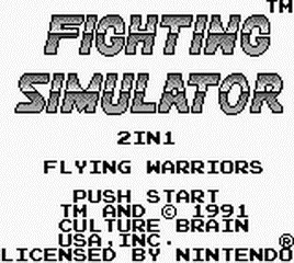 Fighting Simulator: 2-in-1 Flying Warriors screenshot