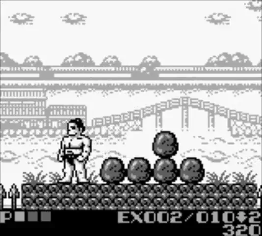 Backdrop artwork for Sumo Fighter