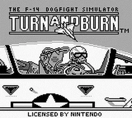Turn and Burn: The F-14 Dogfight Simulator screenshot