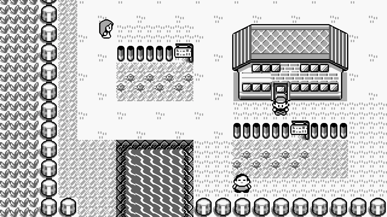 Pokémon Blue Version screenshot