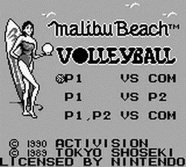 Malibu Beach Volleyball screenshot
