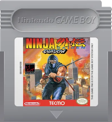 Ninja Gaiden Shadow cart