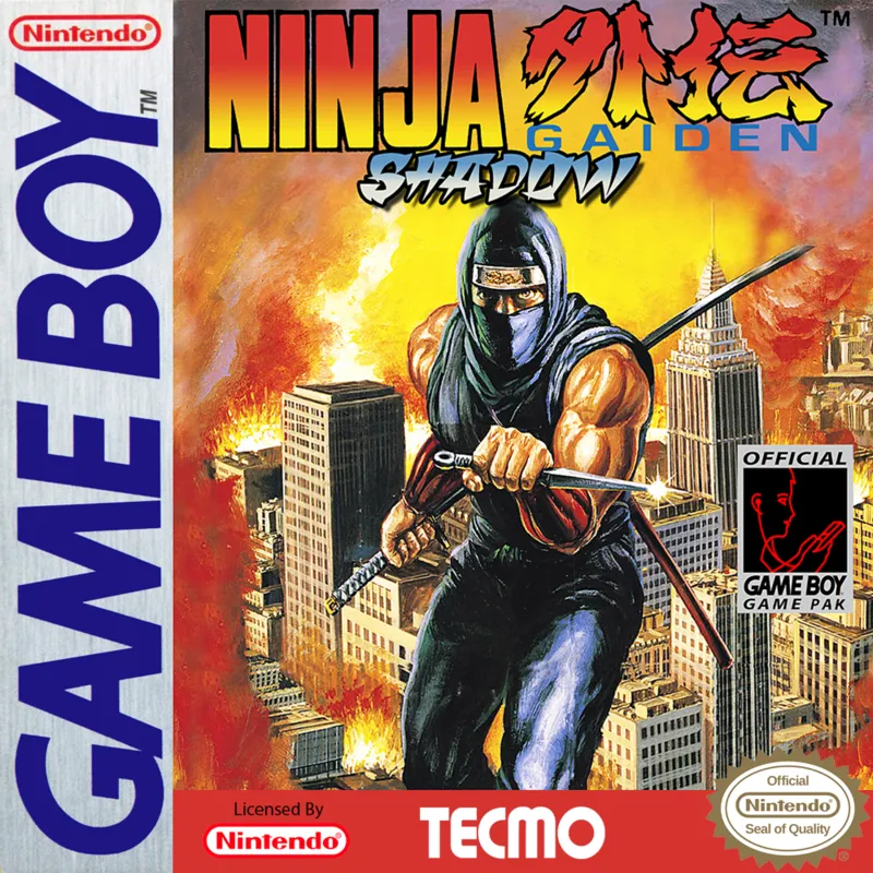 Ninja Gaiden Shadow box art