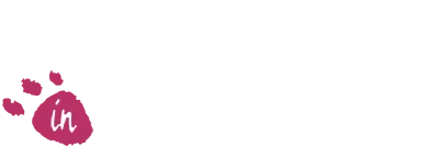 Boomer's Adventure in ASMIK World logo