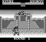 SD Hiryuu no Ken Gaiden 2 (Japan) (SGB Enhanced) screenshot