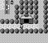 Super Chinese Land 3 (Japan) (SGB Enhanced) screenshot