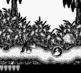 Donkey Kong Land 2 (USA, Europe) (SGB Enhanced) screenshot