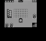 Monster Race (Japan) (SGB Enhanced) screenshot