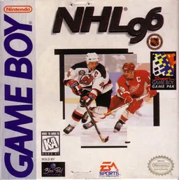 Backdrop artwork for NHL 96 (USA, Europe) (SGB Enhanced)