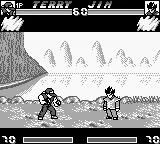 Nettou Real Bout Garou Densetsu Special (Japan) (SGB Enhanced) screenshot