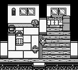 Legend of the River King GB (USA) (SGB Enhanced) screenshot