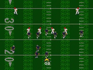 Madden NFL 95 screenshot