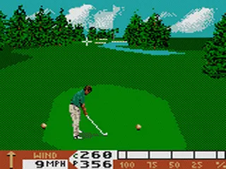 Backdrop artwork for PGA Tour 96