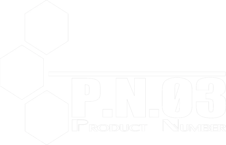 P.N.03 logo