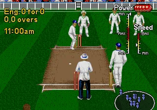 Backdrop artwork for Brian Lara Cricket 96