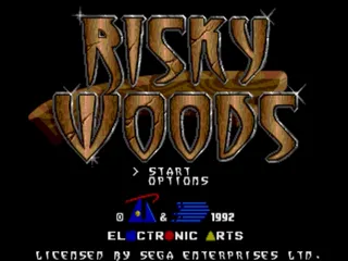 Risky Woods screenshot
