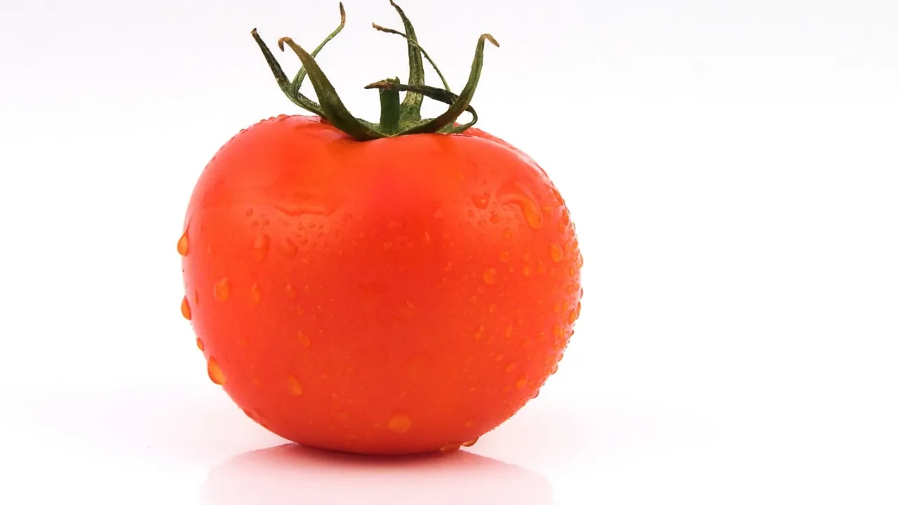Backdrop artwork for Bill's Tomato Game