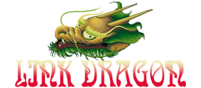 Link Dragon logo