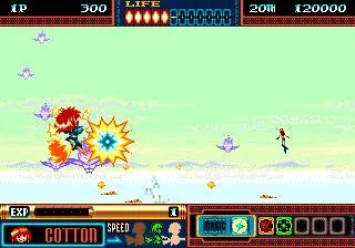 Panorama Cotton screenshot