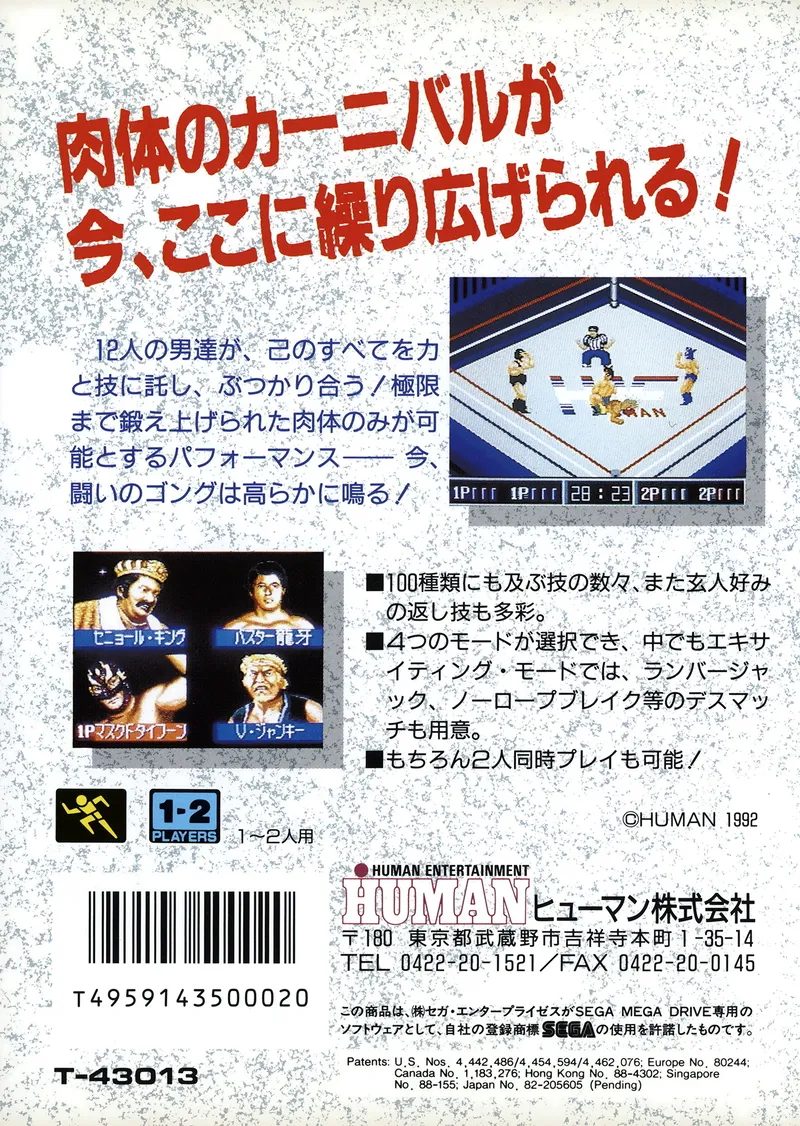 Thunder Pro Wrestling Retsuden box back