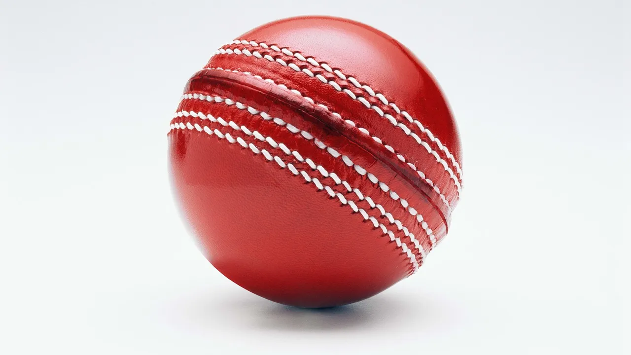 Backdrop artwork for Brian Lara Cricket